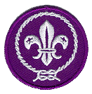World Scouting Crest